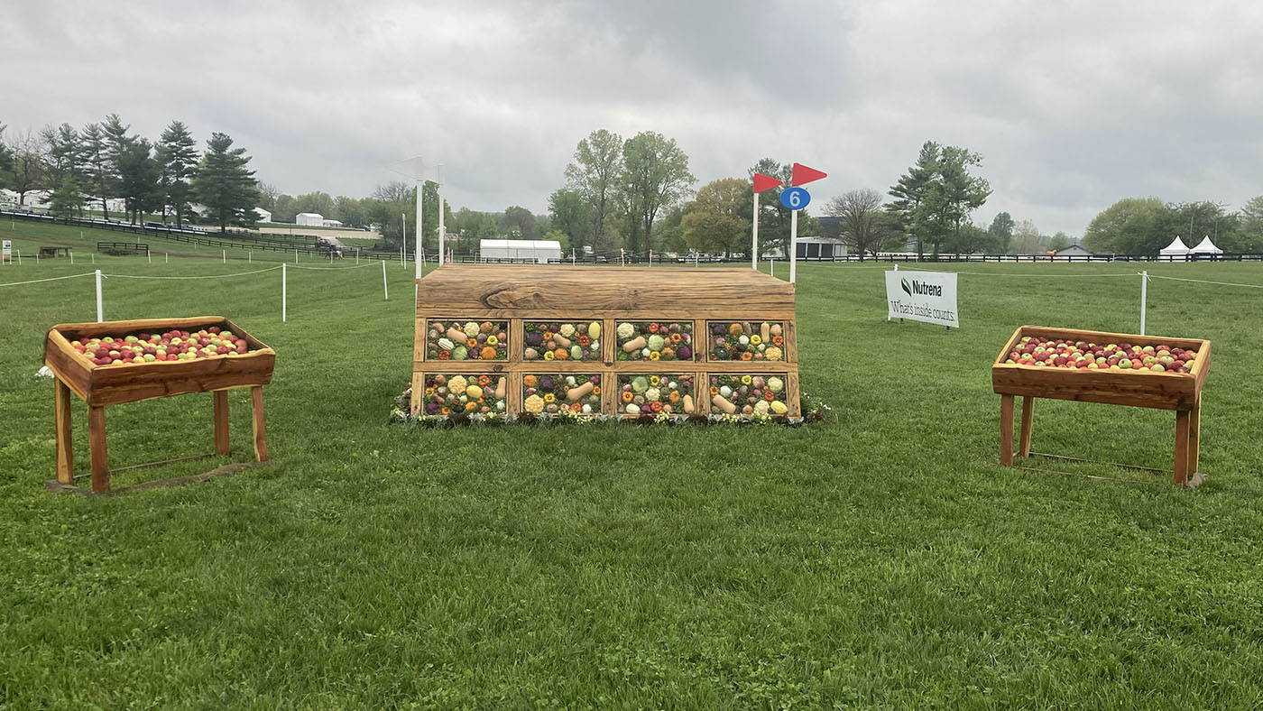 Fence6