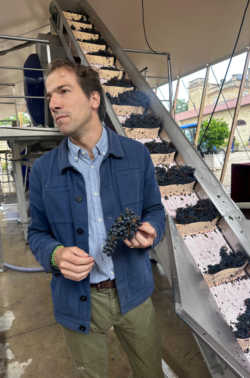 Bordeaux 2025 harvest Ch&amp;acirc;teau L&amp;eacute;oville Barton