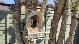 PeckPerk bird camera review