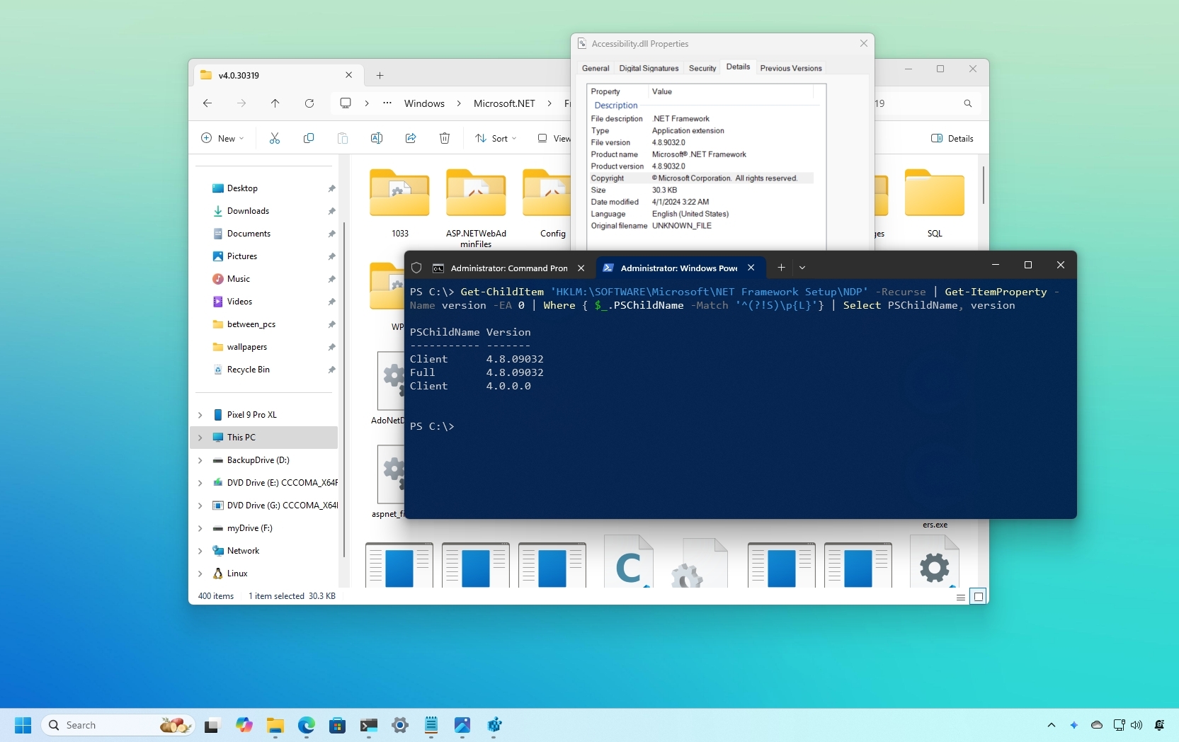 Check .NET Framework version 