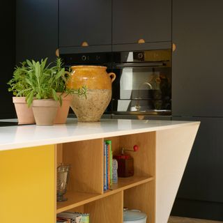 a yellow kitchen island with bookshelves and plant pots