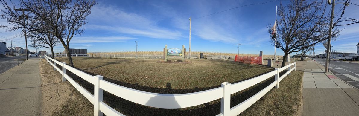 Samsung Galaxy S24 Ultra panorama sample.