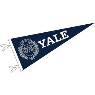 IvySport Store College Pennants