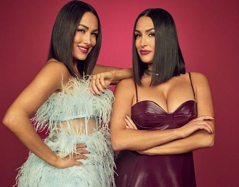 Bri and Nikki Bella in &#039;Twin Love&#039; 