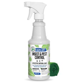 Mighty Mint Peppermint Oil Insect & Pest Spray Amazon