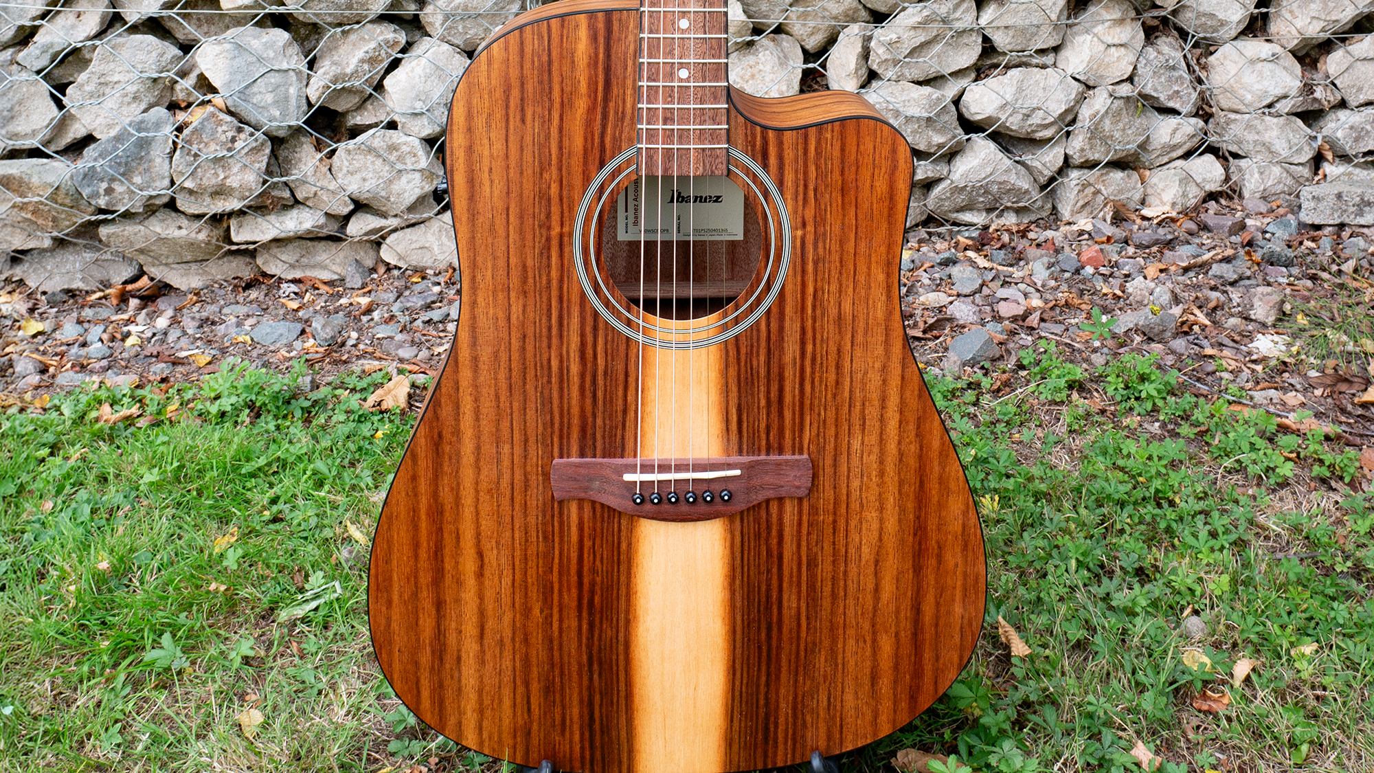 Ibanez V Series