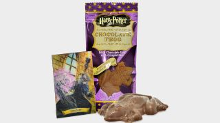 Chocolate Frog with trading card