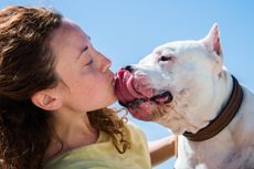 Doggie kisses