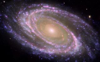 M81 Galaxy is Pretty in Pink