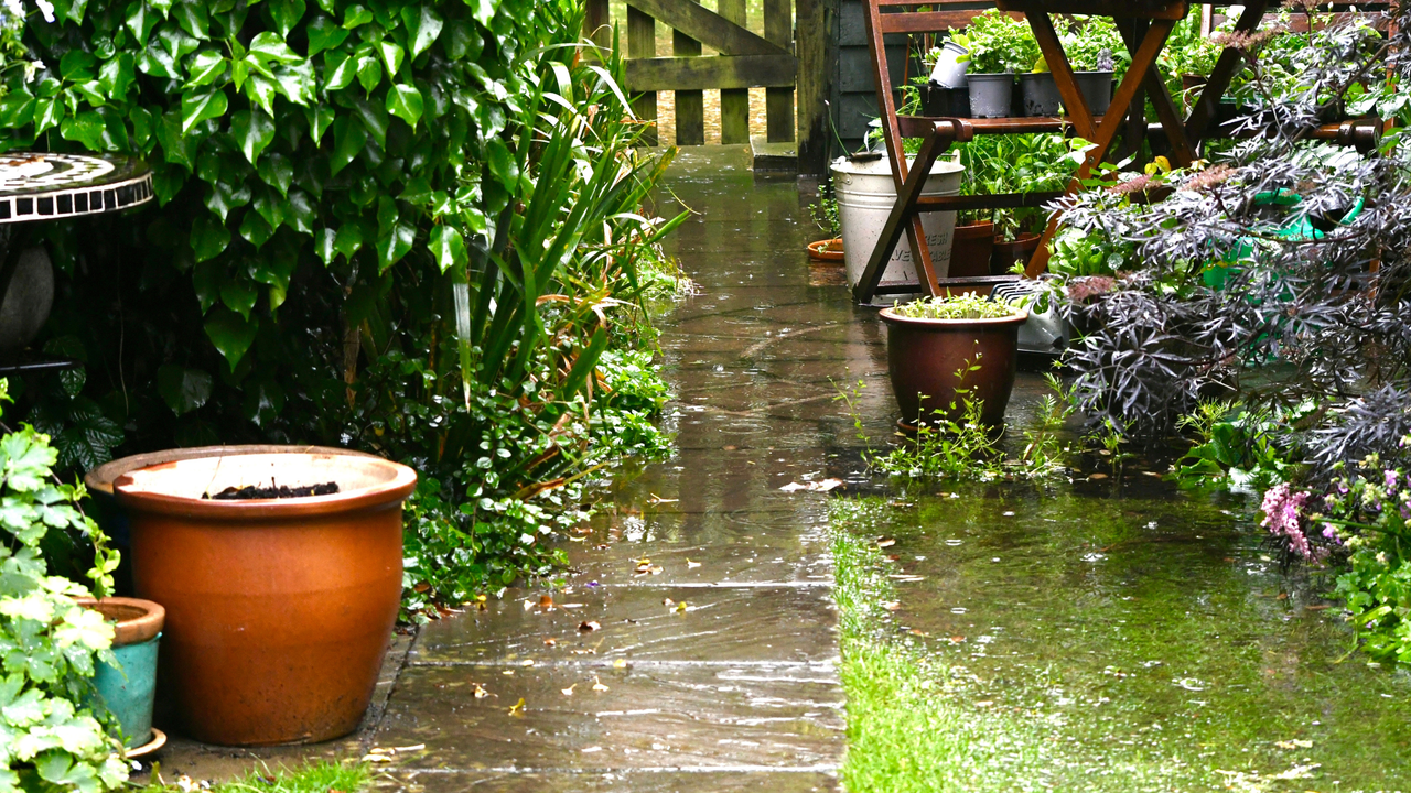 Stormy garden with flooded paved path leading through a lawn