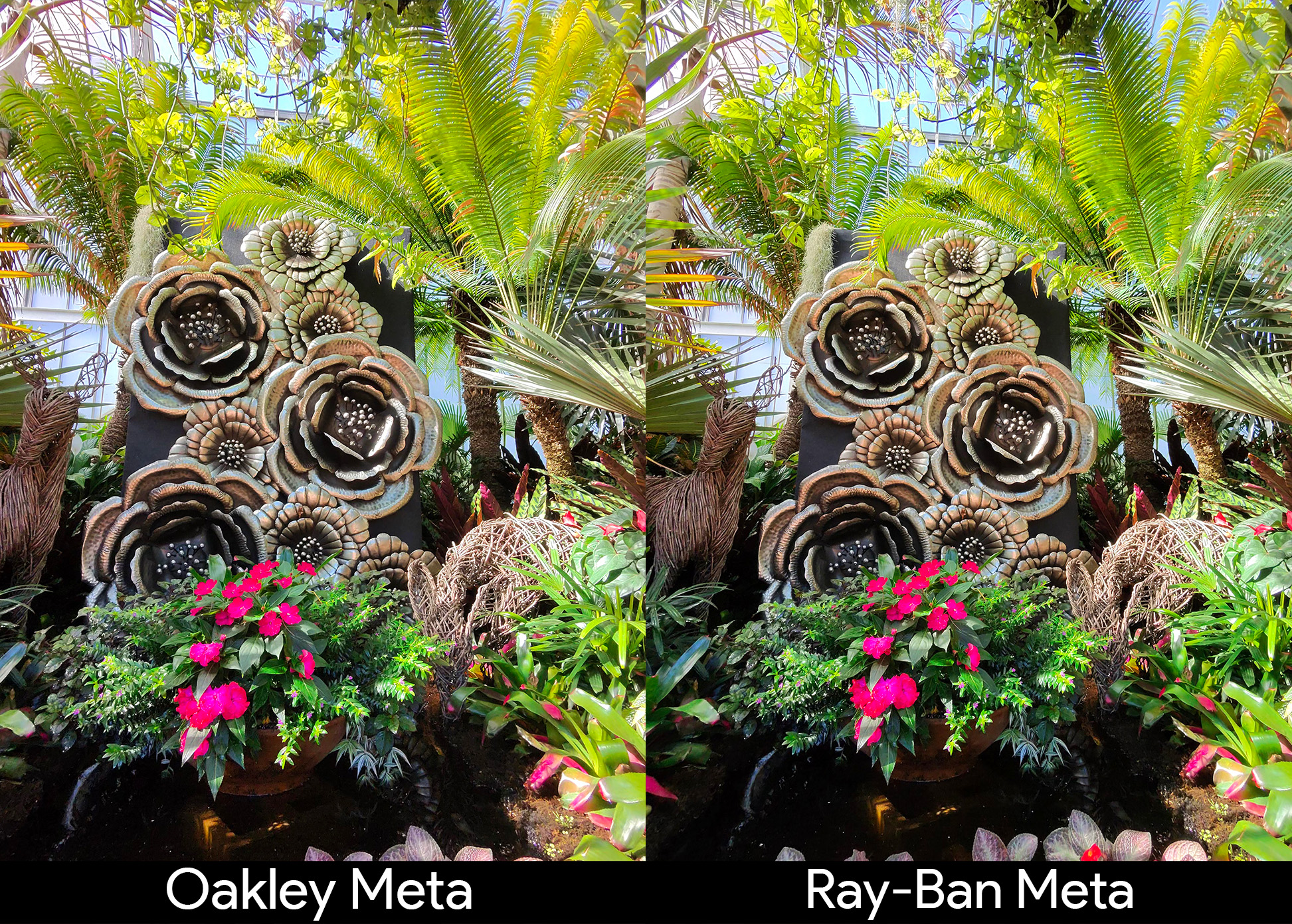 Comparing the picture quality of Oakley Meta HSTN Smart Glasses and Ray-Ban Meta Smart Glasses