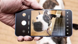 En person bruker en Samsung Galaxy S24 for å ta bilder av hunden sin.
