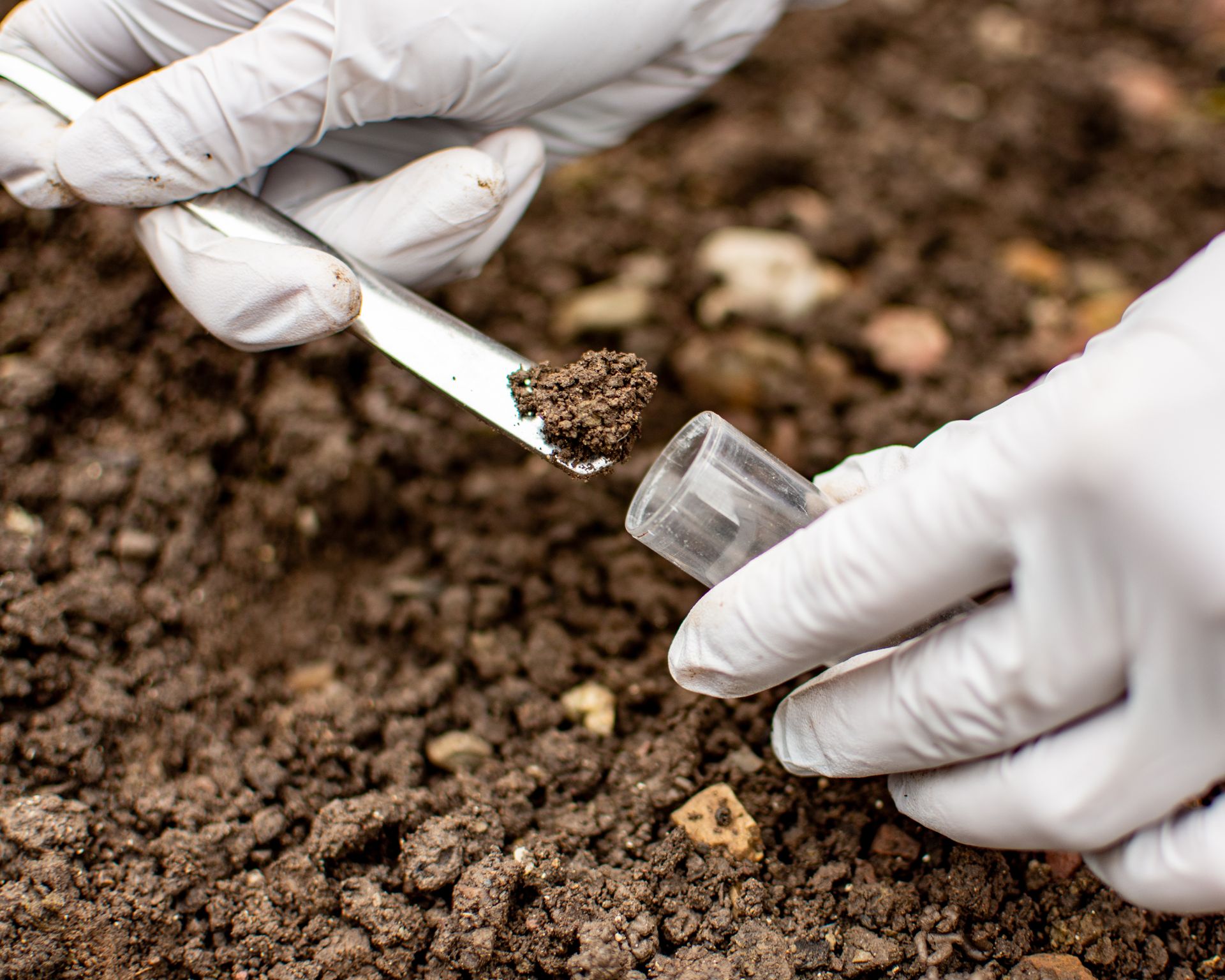 Researcher collecting soil sample in a test tube