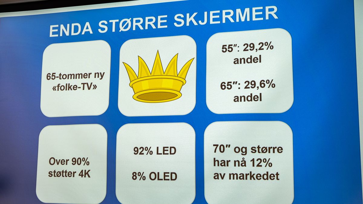 Elektronikkbransjen