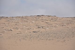 Hidden Hollywood - Guadalupe-Nipomo Dunes