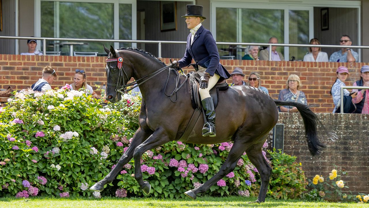 Helen Baker and Boston Black Tie in The Barberstown Castle Supreme Ridden Horse Championship at the Agria Royal International Horse Show, Sussex, UK. 26 July 2026