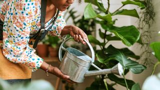 A woman watering indoor plants with a watering can