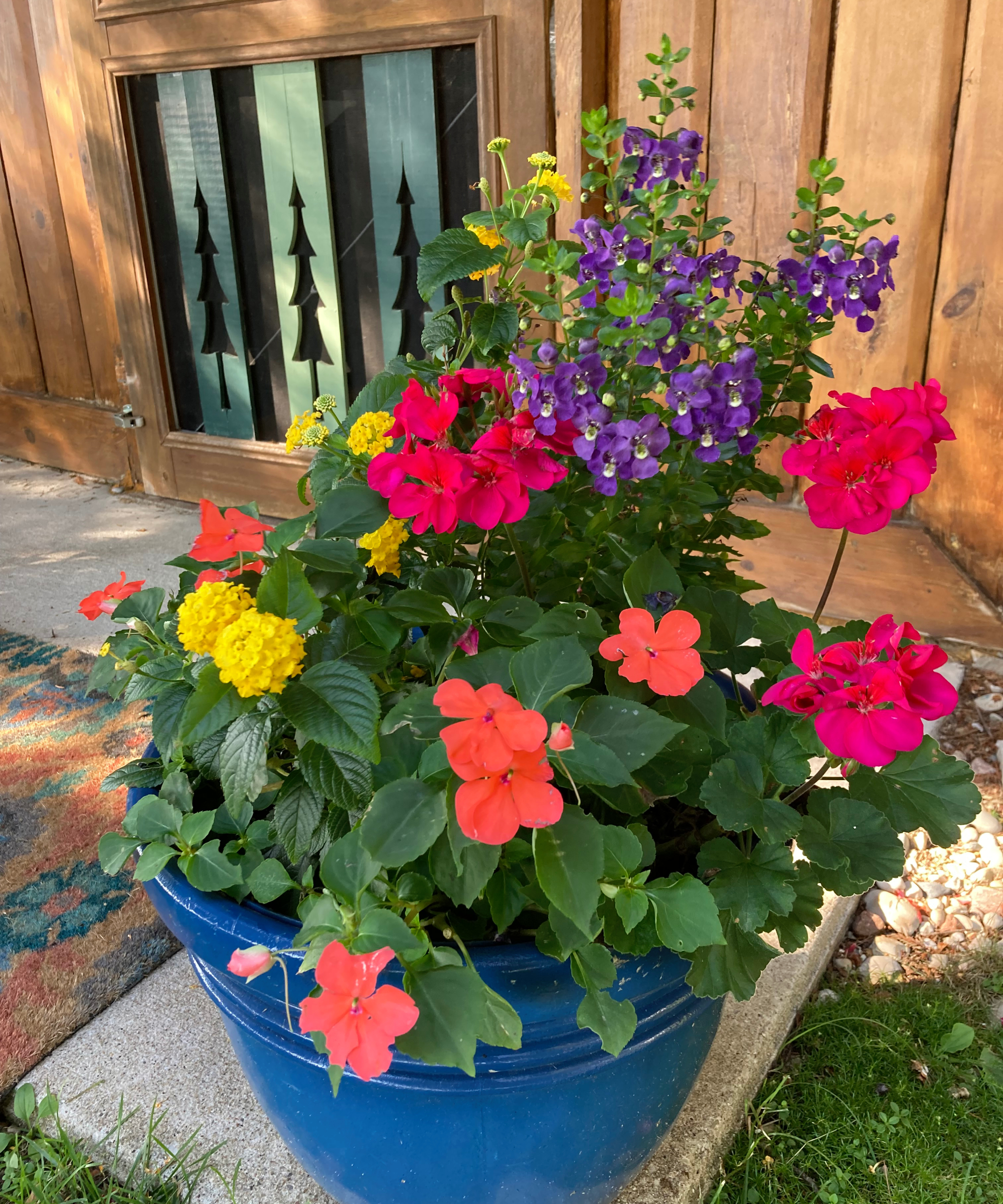 Pot of annual flowers like geraniums, impatiens, angelonia, lantana