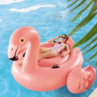 aldi xl flamingo ride on loat