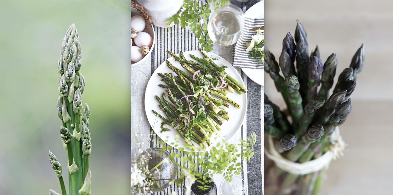 plate of griddled asparagus