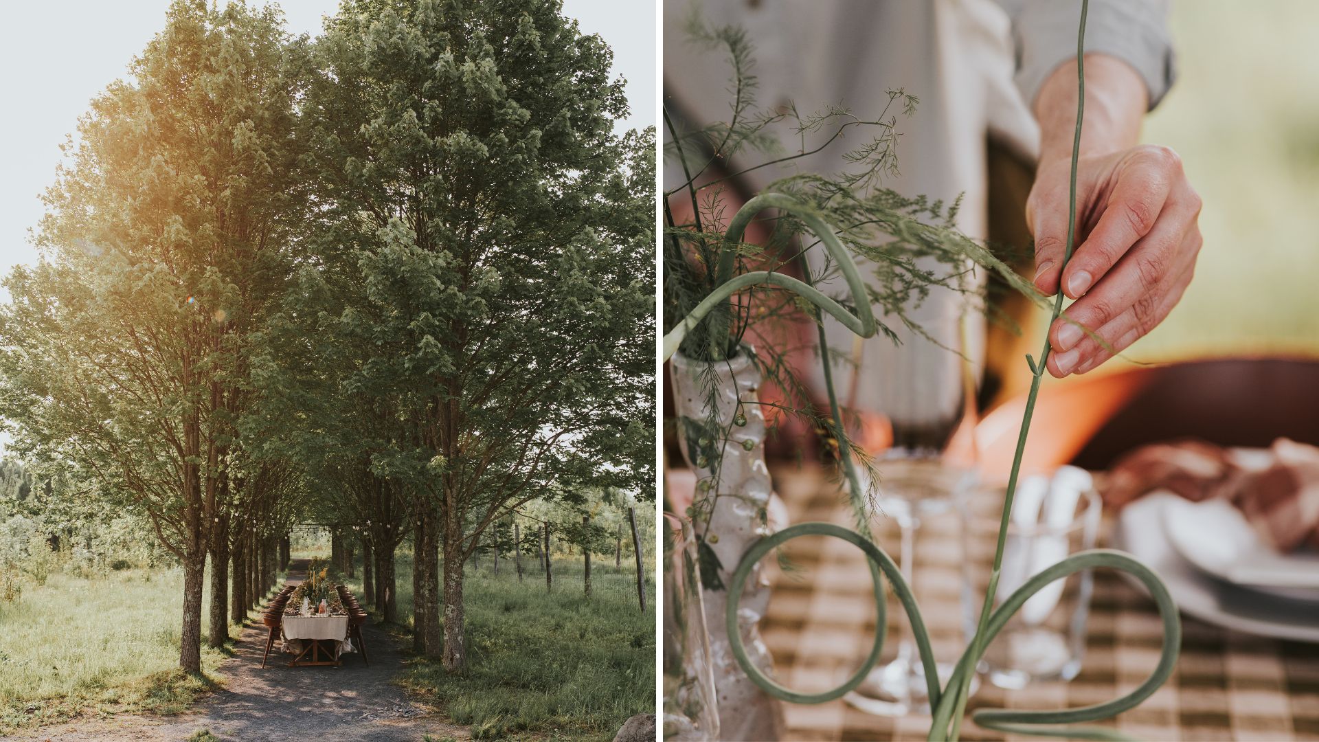Image of a long table setting on a tree-lined path; close-up of hands arranging greenery on a table