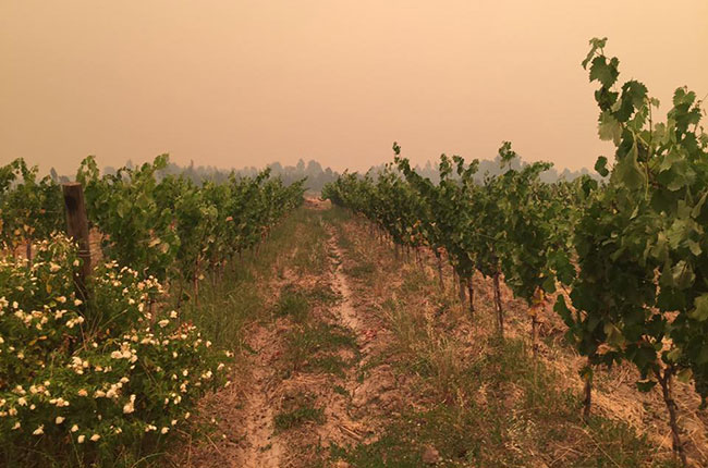 chile fire, colchagua, ash cloud