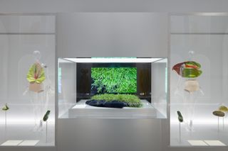 Gallery view of The Met’s Sleeping Beauties Reawakening Fashion, featuring a Loewe jacket with grass growing from it and blown-up flowers in vitrines