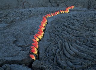 Nils Udo placed red and yellow blossoms within the cracks of hardened lava rocks.