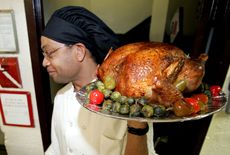 Thanksgiving/Turkey