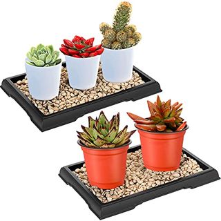 Pinkunn 2 Pack Bonsai Humidity Tray Drip Tray Plastic Plant Water Catcher Tray Plant Saucers for Indoors and Outdoors Cactus, Succulents, Bonsai Tree, Stone Not Included (rectangular,7.8 X 5.5 Inch)