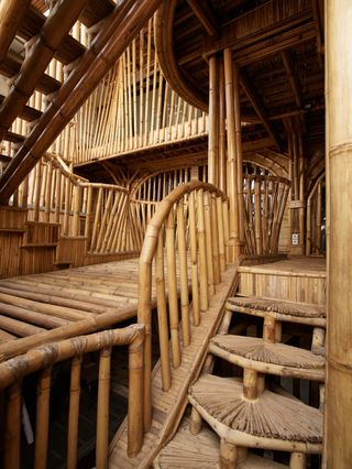Bamboo structure at RAW architecture's live/work space