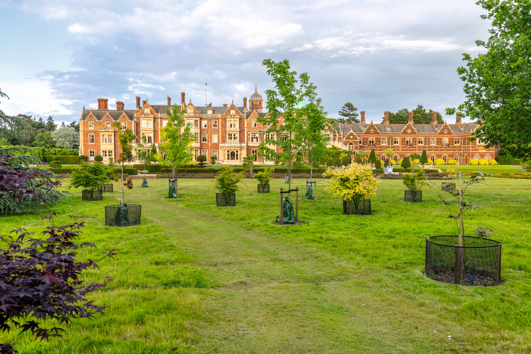 Images of the King&#039;s garden at Sandringham