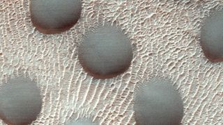 Circular sand dunes on Mars surface covered in frost.
