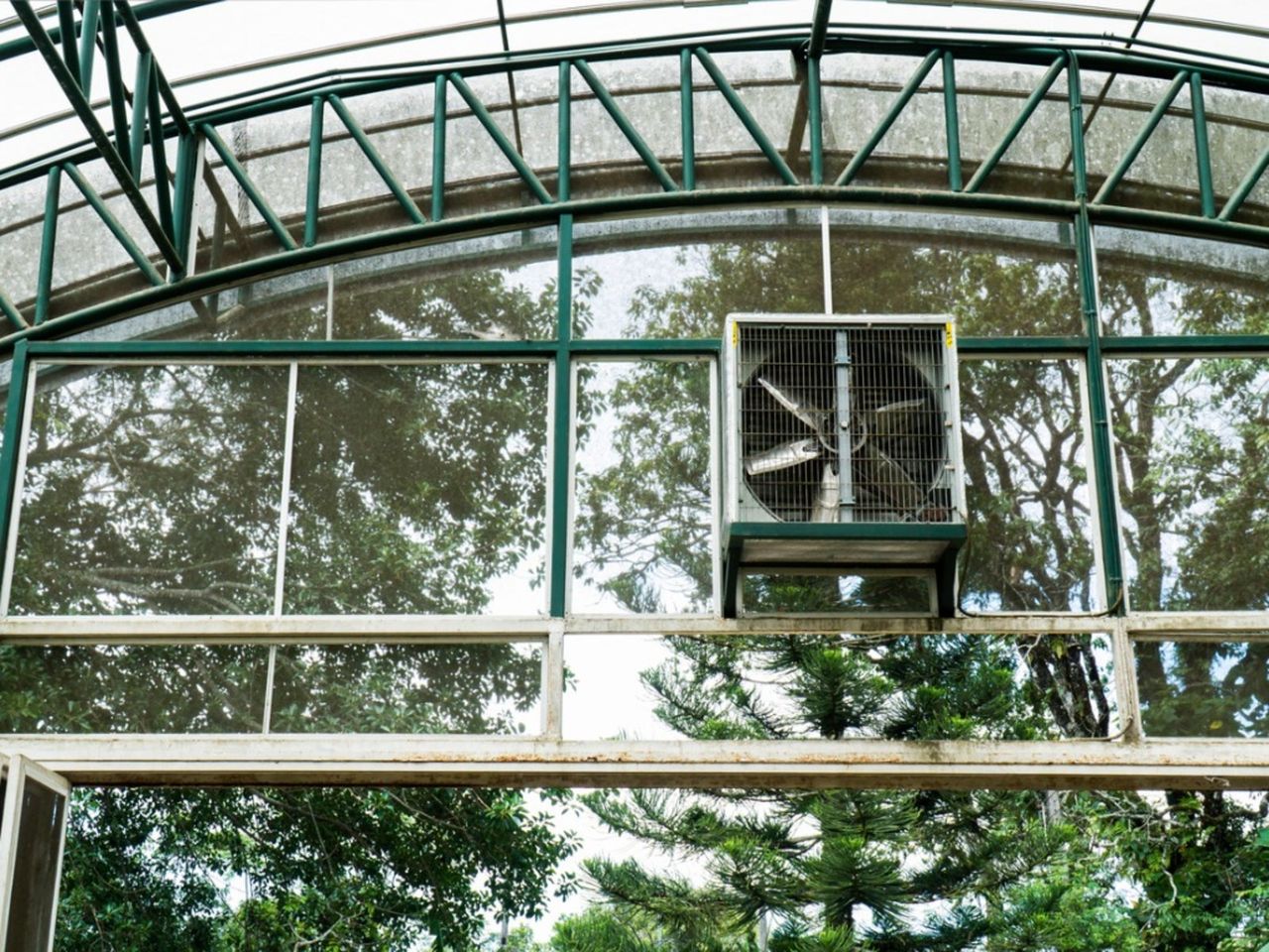 Ventilation System In A Large Greenhouse