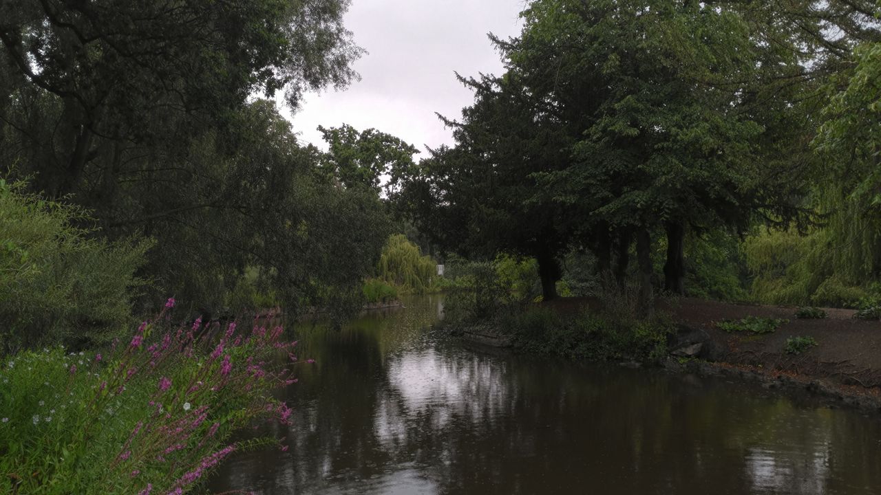 Occasionally the Zenfone AR can be conservative with its brightness, leading to glum-looking shots like this that need a post-shoot liveliness injection.