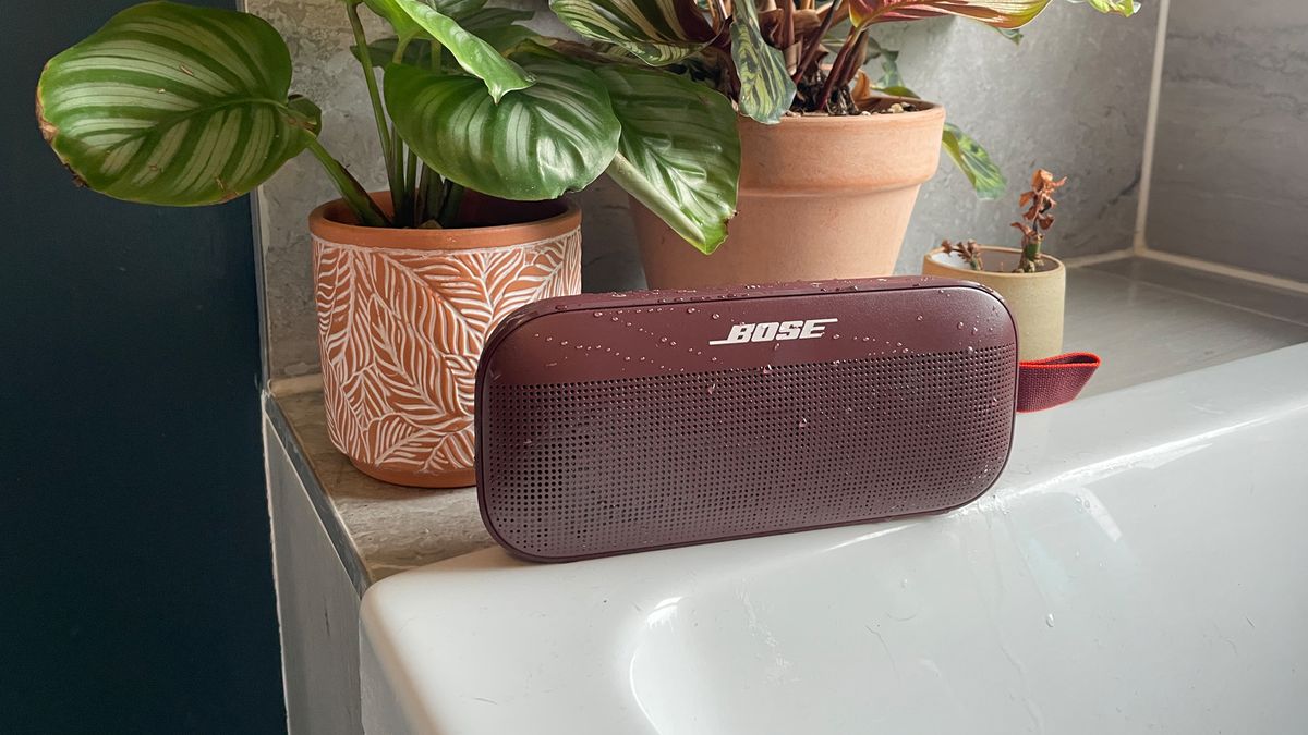 evne Sprout ideologi Bose SoundLink Flex review | What Hi-Fi?