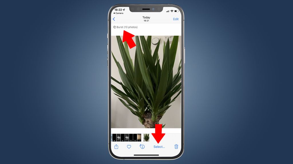 How To Set The IPhone Camera Timer TechRadar how-to-set-the-iphone-camera-timer-techradar