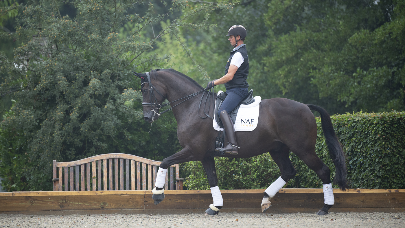 Carl-Hester-Image-4