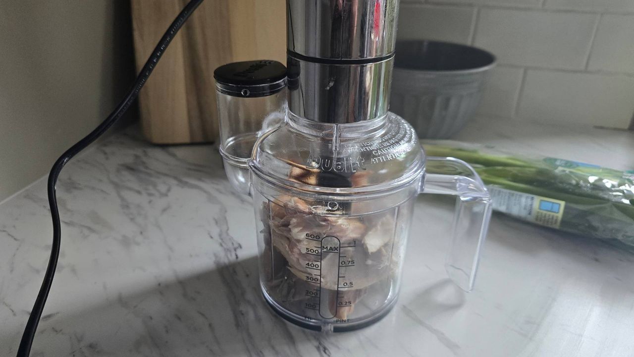 Before shot of mackerel being chopped by Dualit blender