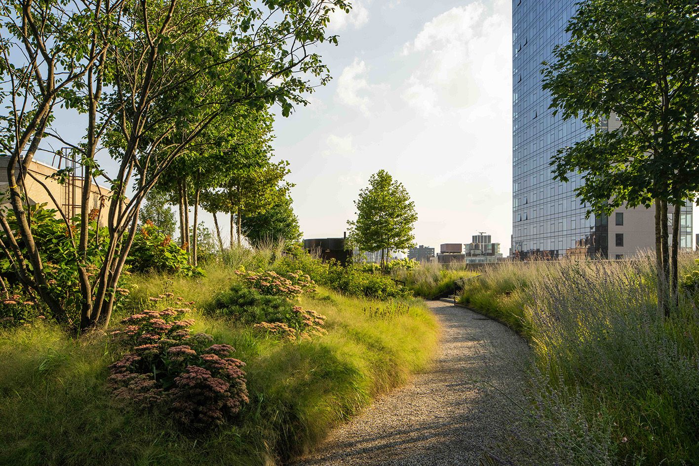 Morgan North green garden with gravel path