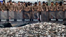 Thai police guard Government House in Bangkok as fish farmers dump two tons of blackchin tilapia on the street outside