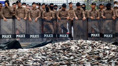 Thai police guard Government House in Bangkok as fish farmers dump two tons of blackchin tilapia on the street outside