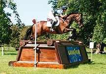 goodyear-xc-fence.jpg