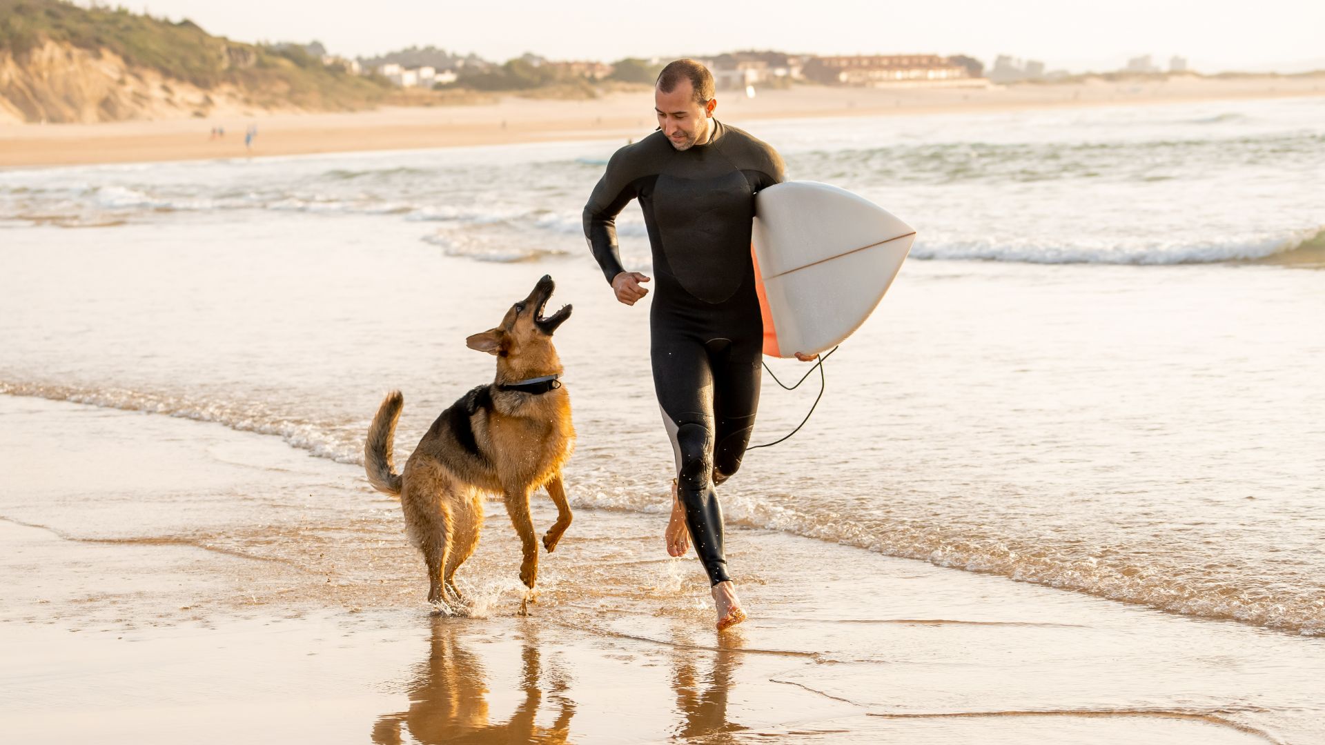 German Shepherd running on the beach with owner
