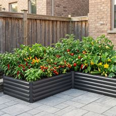 foowin raised beds on patio