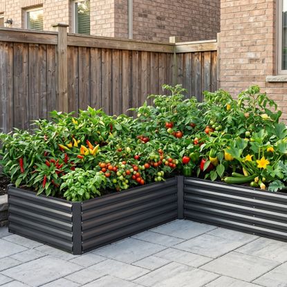 foowin raised beds on patio