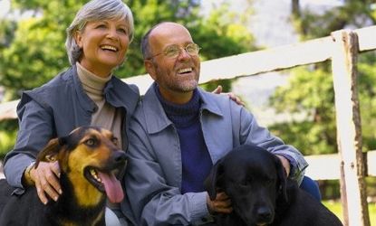 Man's best friend: Psychologists say married couples should treat their spouses more like their pets.