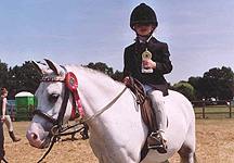 Ginny-RSPCA-pony.jpg