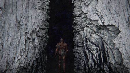 Elden Ring Nightreign Executor