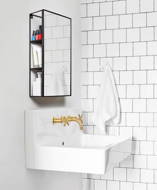 a mirror with added storage options set above a sink